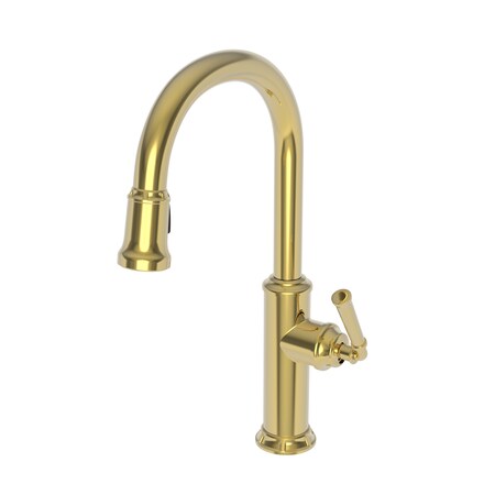 Newport Brass Pull-Down Kitchen Faucet in Polished Gold, Pvd 3210-5103-24